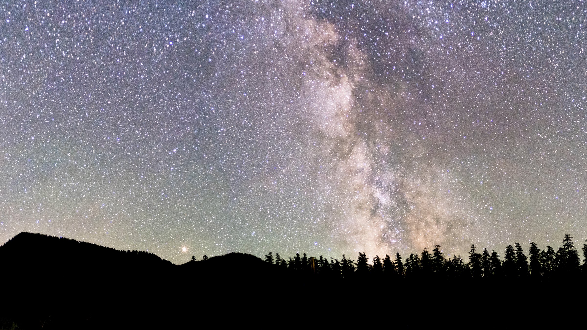The Milky Way rising over a dark treeline under a star-filled night sky